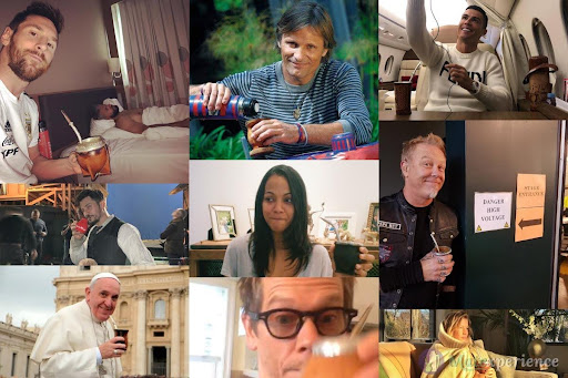 yerba mate health benefits